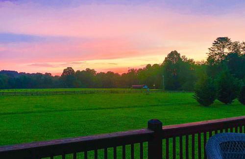 Lil Yellowstone - Foto 42