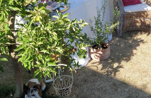 Charmantes Haus - ein kleines Juwel für Auszeiten - Foto 31