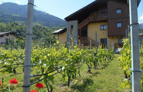 La Vigne de Papagran - Foto 38