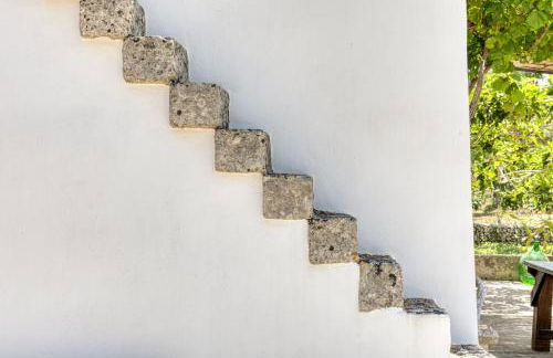 BioMasseria Santa Lucia - Foto 26