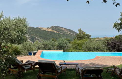 Azienda Agricola Passaro - Photo 6