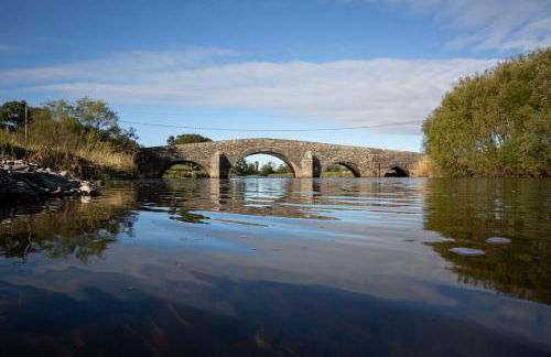 Felin Gogoyan - Photo 36