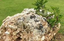 Il nido delle rondini - Foto 80