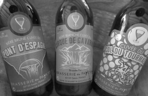 Chalet Le Bordarriben sauna & spa - Foto 73