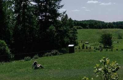 Domek pod brzozami - Foto 22