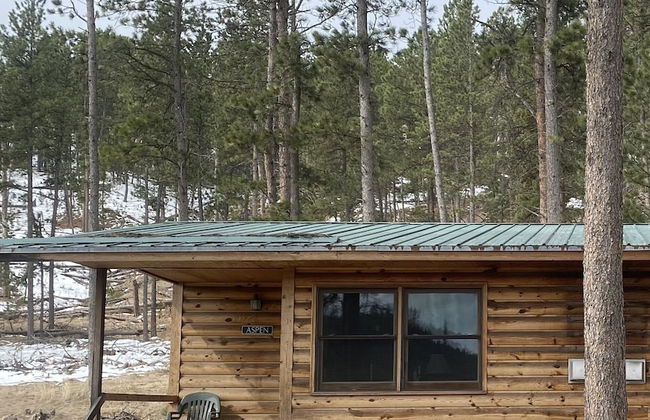 Pine Rest Cabins - Foto 51