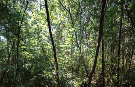 Quinta do Mirante - Foto 74