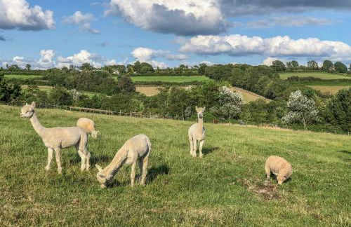 Pottery Cottage - Photo 30