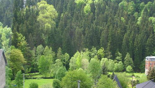 Mountain Bliss in Borstendorf - Foto 5