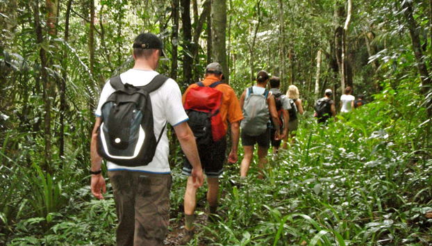 Fazendo a trilha em grupo