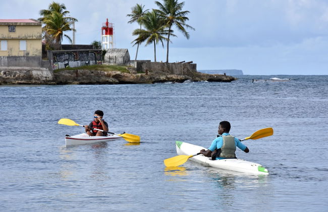 Résidence Tropicale - Foto 32