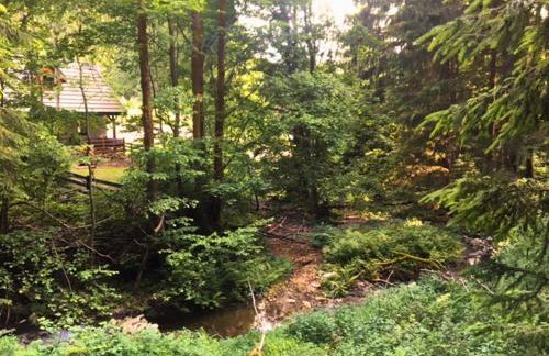 Borówkowa Dolina - Foto 6