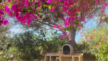 CALABRIA- CASA SUL MARE La Camilluccia - Foto 2