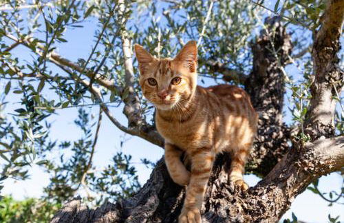 La Casina di Campagna - Photo 20