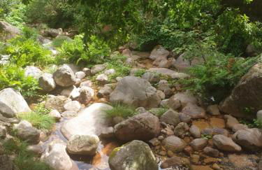 Casa da Lagoa II - Foto 24