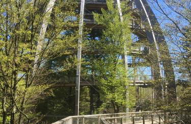 Ferienland Sonnenwald Fewo 46 und Studio 50 in Schöfweg Bayerischer Wald - Foto 47