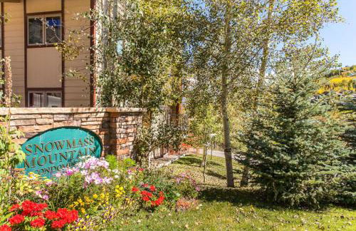 Snowmass Mountain by Snowmass Vacations - Foto 102