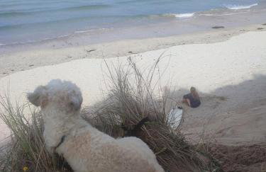 Penare Terrace in Penzance - Photo 19