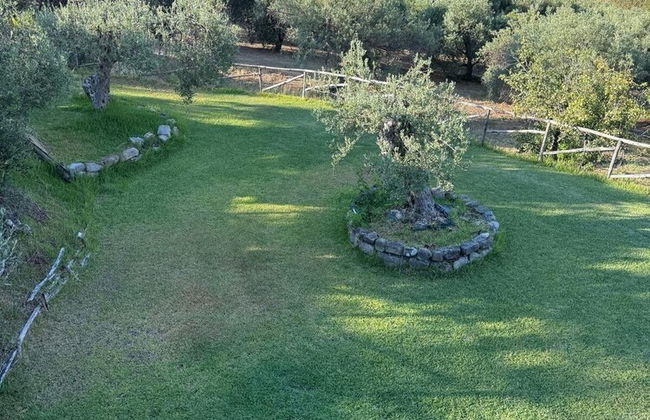 Agrolea Rodí Milici - Photo 56