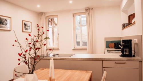 Alter Gutshof Sendelbach - Foto 4, stove