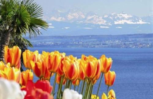 Sonniges Balkonapartment, Ahausen - Foto 23