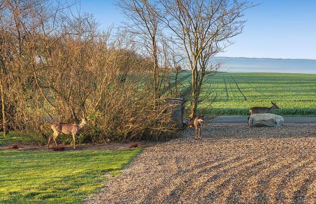 "Imilie" - 250m to the fjord - Foto 23