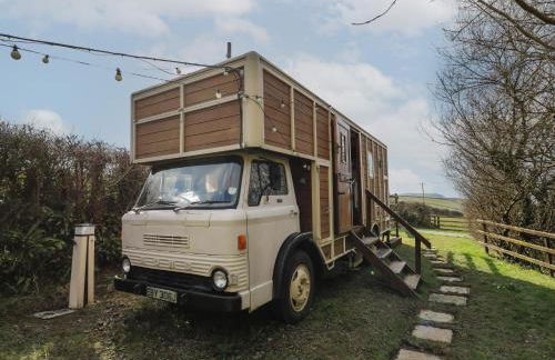 Sea the Stars - Photo 2