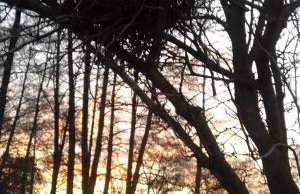 Dom Pod Sosnami - Foto 21