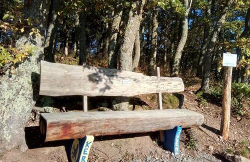 Ferienwohnung Zum Bienenstock - Photo 9