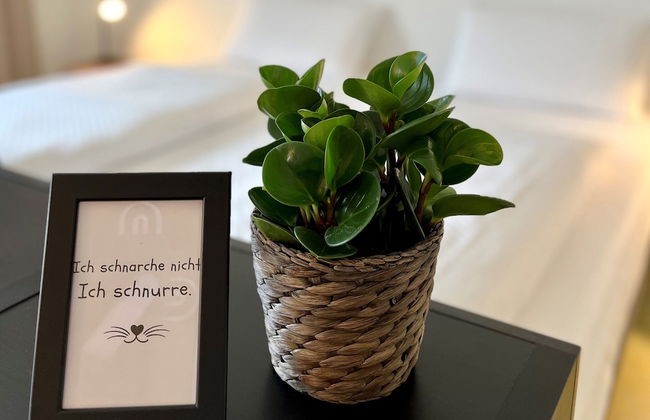 Haus Augustinus - Photo 12