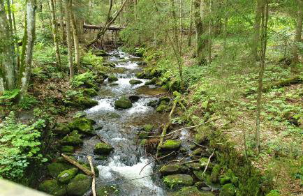 Haus Bergblick - Foto 66