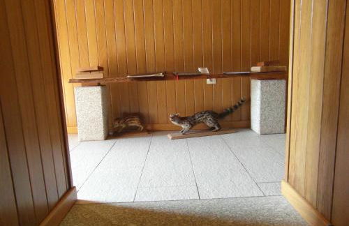 Casa da Bôcha - Foto 21