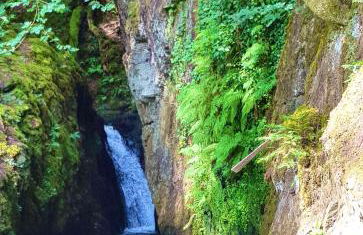 Wild Coastal Retreat at Troed Y Rhiw Aberporth, West Wales - Foto 70