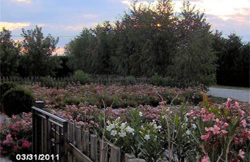 Agriturismo Il Magicorto - Photo 24