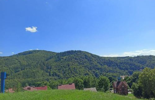 Apartament Góry Bardzkie - Foto 29