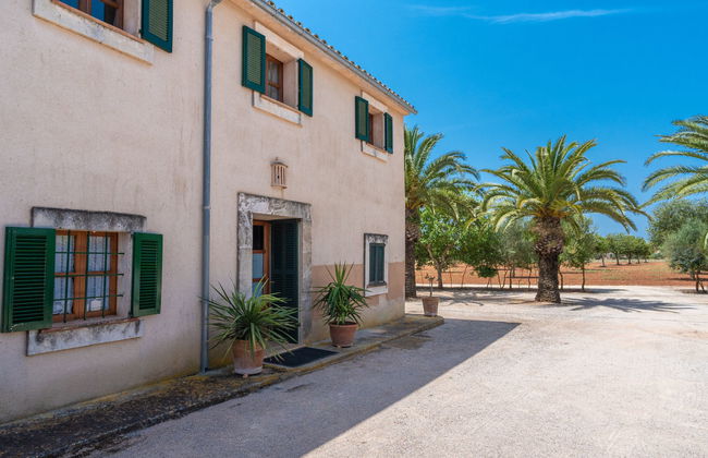 Son Viquet - Foto 35