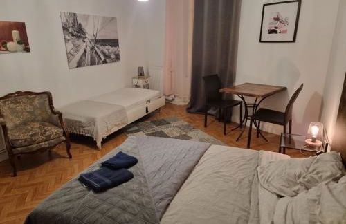 Gîte pour professionnels en déplacement - CENTRE VILLE - Parking gratuit - Foto 10