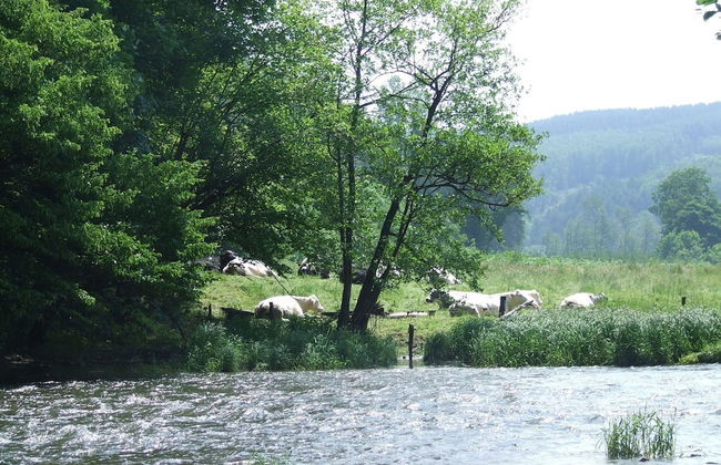 Relaxing Chalet in Dochamps With Swimming Pool and Terrace - Foto 22