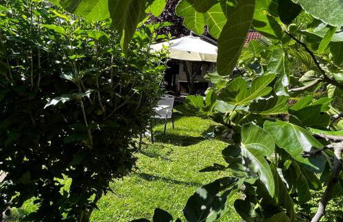 Residenz Royal - Foto 57