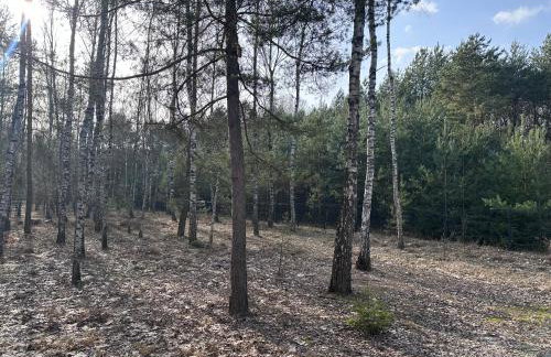 Dom pod Aniołem - Foto 9