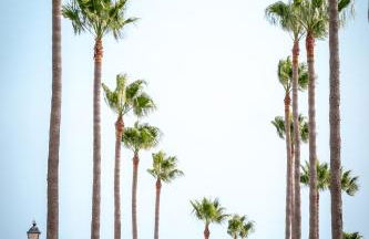 Casa Serena - Foto 25