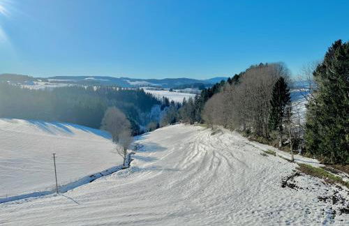 Panorama Studio im Schwarzwald - Foto 37