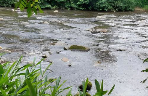 Chácara Morretes Arraial - Piscina e Rio - Photo 77