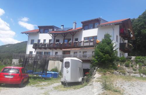 Hofschank Reinalterhof - Foto 6