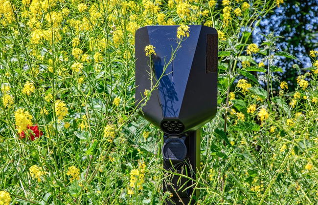 Villa on Texel Near Wadden Sea & Bird Area - Photo 34