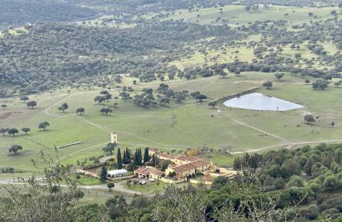 Finca La Alcolehuela - Foto 23