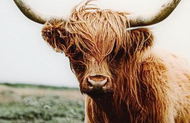 Ferienwohnung GABI - Foto 65