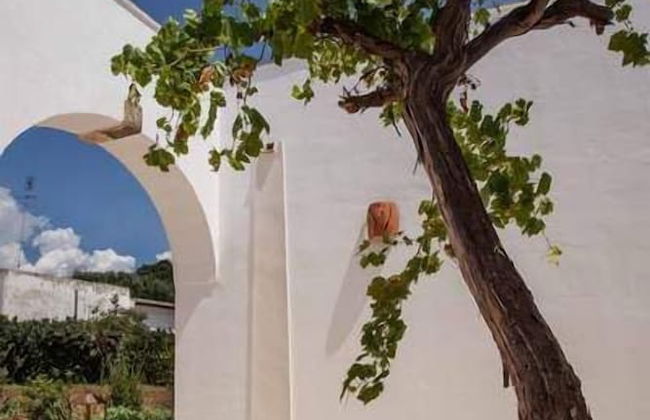 Santa Marina Masseria del Salento - Foto 36