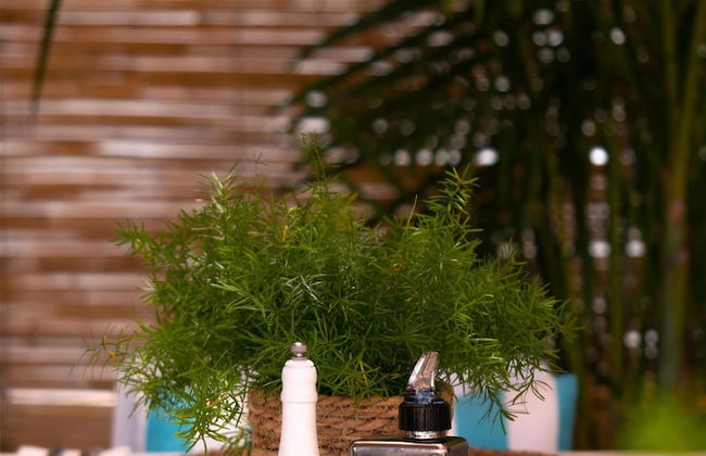 INN Mallorca Aparthotel - Foto 77