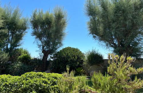 Villa Mantea - Foto 69